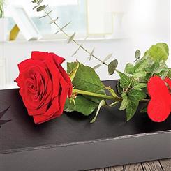 Single Red Rose in Black Box