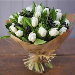  White Tulips
