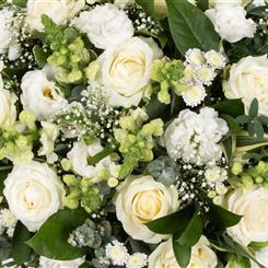 Florist Choice  frosty luxury Hand-Tied in Water