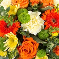 Florist&#39;s Choice bold and bright Seasonal 