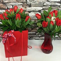  Romance Tulips 