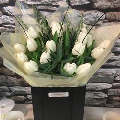 Pure White Delight