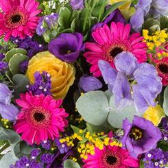 Florist Choice  vibrant selection