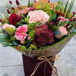 Hollies choice  Peak Time