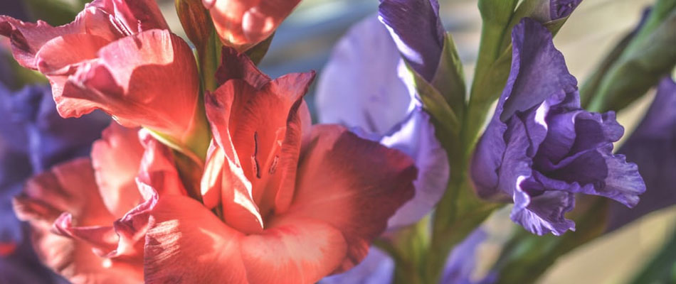 Kay's Florist